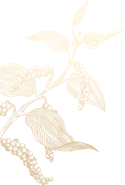 Bữa Cơm Đậm Tình