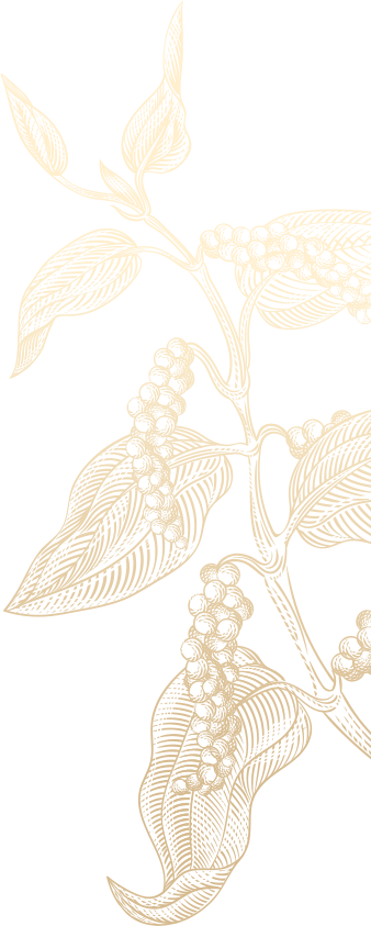 Bữa Cơm Đậm Tình