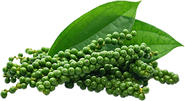 Bữa Cơm Đậm Tình